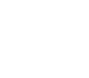 GAN
