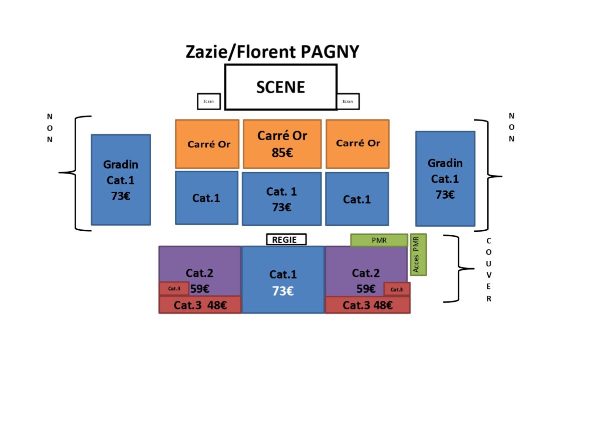plan concert Florent Pagny